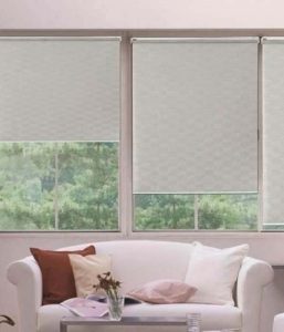 Roller / Sunscreen Blind - Image 10